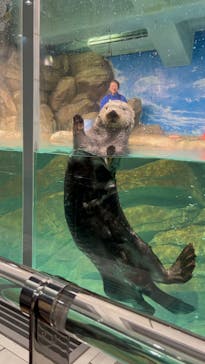 マリンワールド海の中道に投稿された画像（2023/12/23）