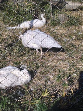 東武動物公園に投稿された画像（2023/12/23）