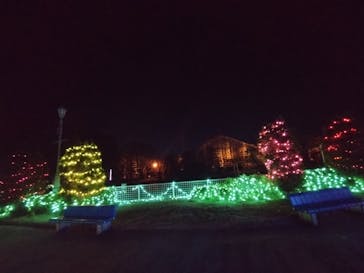 東武動物公園に投稿された画像（2023/12/23）