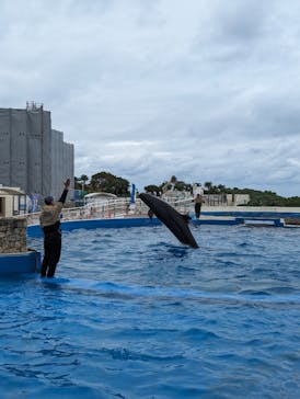 沖縄美ら海水族館に投稿された画像（2023/12/23）