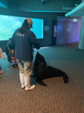 大分マリーンパレス水族館 「うみたまご」に投稿された画像（2023/12/23）