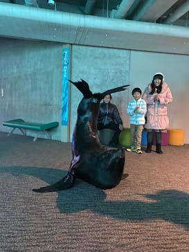 大分マリーンパレス水族館 「うみたまご」に投稿された画像（2023/12/23）
