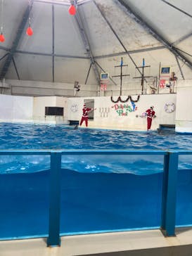 登別マリンパークニクスに投稿された画像（2023/12/23）