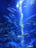 すみだ水族館に投稿された画像（2023/12/23）