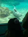 名古屋港水族館に投稿された画像（2023/12/23）