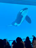 名古屋港水族館に投稿された画像（2023/12/23）