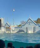 しながわ水族館に投稿された画像（2023/12/23）