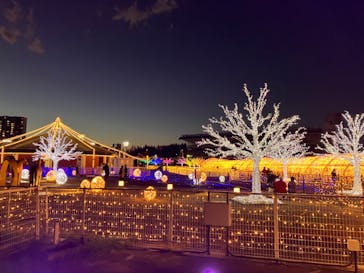 東京メガイルミに投稿された画像（2023/12/23）