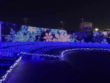 東京メガイルミに投稿された画像（2023/12/23）