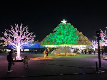 東京メガイルミに投稿された画像（2023/12/23）