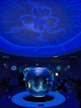 新江ノ島水族館に投稿された画像（2023/12/23）