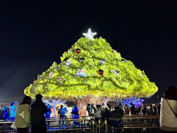 東京メガイルミに投稿された画像（2023/12/23）