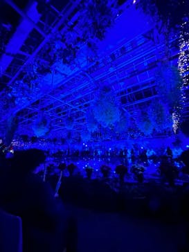 なばなの里に投稿された画像（2023/12/23）