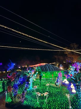 伊豆ぐらんぱる公園に投稿された画像（2023/12/23）