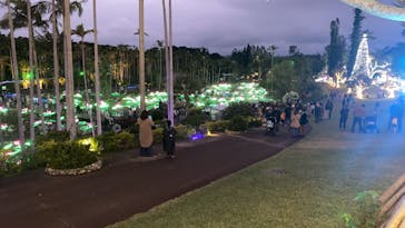 美らヤシパークオキナワ・東南植物楽園に投稿された画像（2023/12/23）