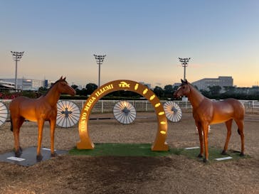 東京メガイルミに投稿された画像（2023/12/23）