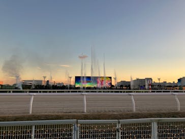 東京メガイルミに投稿された画像（2023/12/23）