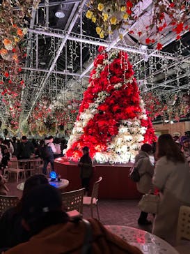 なばなの里に投稿された画像（2023/12/23）