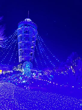 江の島シーキャンドルに投稿された画像（2023/12/23）