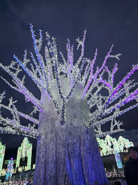 ラグーナテンボス ラグナシアに投稿された画像（2023/12/23）