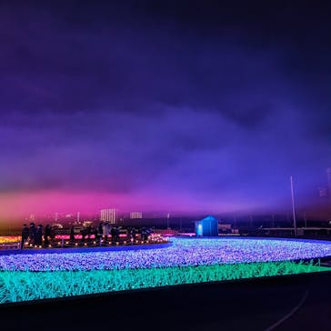 東京メガイルミに投稿された画像（2023/12/23）