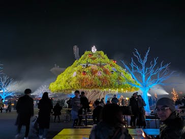 東京メガイルミに投稿された画像（2023/12/23）