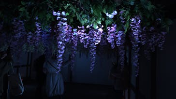 東京メガイルミに投稿された画像（2023/12/23）