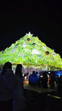 東京メガイルミに投稿された画像（2023/12/23）