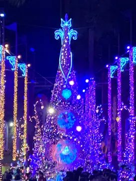 ひらかたパークに投稿された画像（2023/12/23）