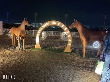 東京ジョイポリスに投稿された画像（2023/12/23）