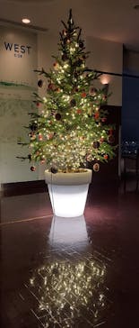 JRタワー展望室 タワー・スリーエイトに投稿された画像（2023/12/23）