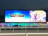 東京メガイルミに投稿された画像（2023/12/23）