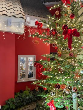 安城産業文化公園デンパークに投稿された画像（2023/12/23）