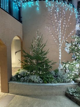 安城産業文化公園デンパークに投稿された画像（2023/12/23）