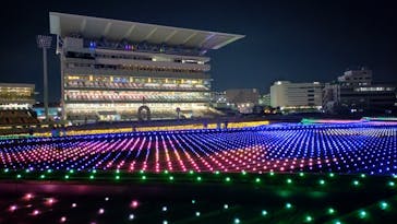 東京メガイルミに投稿された画像（2023/12/23）