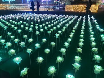 東京メガイルミに投稿された画像（2023/12/23）