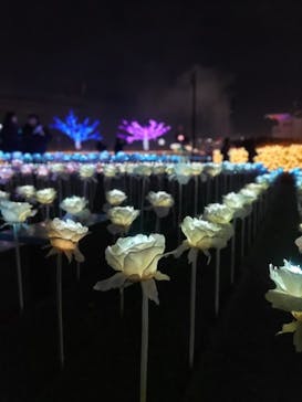 東京メガイルミに投稿された画像（2023/12/23）