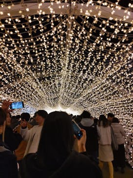 東京メガイルミに投稿された画像（2023/12/23）