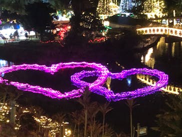 美らヤシパークオキナワ・東南植物楽園に投稿された画像（2023/12/23）