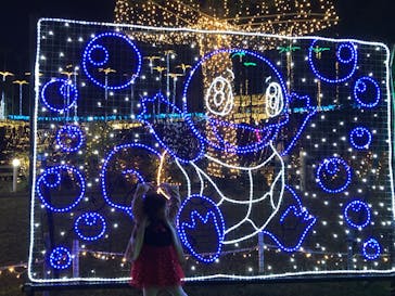 美らヤシパークオキナワ・東南植物楽園に投稿された画像（2023/12/23）