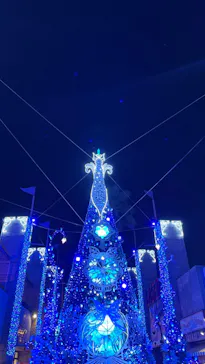 ひらかたパークに投稿された画像（2023/12/23）