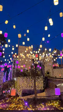 ひらかたパークに投稿された画像（2023/12/23）