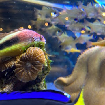 京都水族館に投稿された画像（2023/12/23）