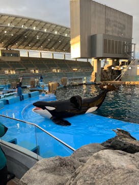 名古屋港水族館に投稿された画像（2023/12/23）