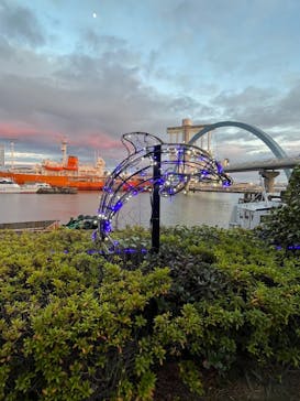 名古屋港水族館に投稿された画像（2023/12/23）