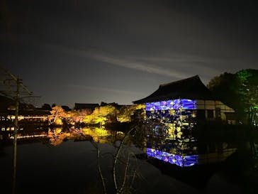 NAKEDヨルマイリ 2025-26 平安神宮に投稿された画像（2023/12/23）