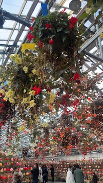 なばなの里に投稿された画像（2023/12/23）