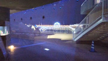 アクアワールド茨城県大洗水族館に投稿された画像（2023/12/23）