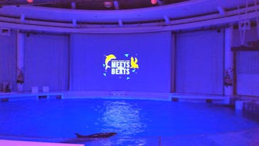 アクアワールド茨城県大洗水族館に投稿された画像（2023/12/23）