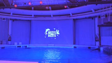 アクアワールド茨城県大洗水族館に投稿された画像（2023/12/23）